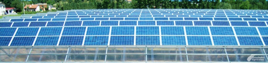 Advantages and Disadvantages of Photovoltaic Energy for Greenhouses